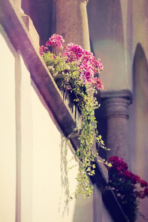 Balcon avec bacs à fleurs Linz