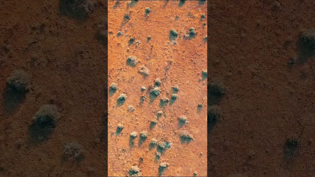 The DJI Air 2S is INCREDIBLE🤩