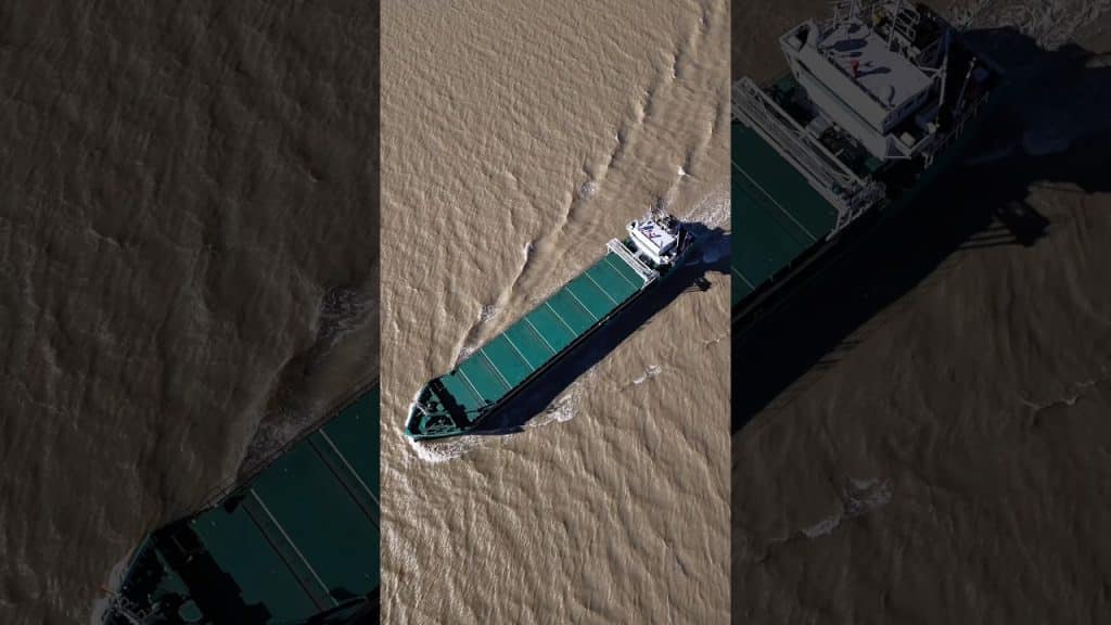 Hacia la profundidad del mar #djimini5pro #cinematic #parati #dronevideo #thesea #cinematografico #f