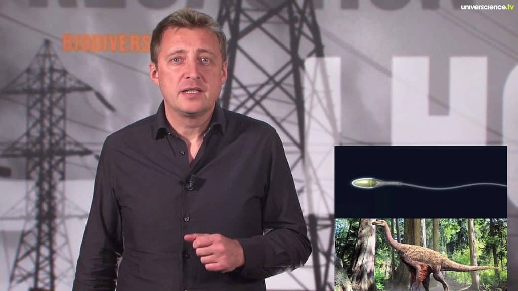 Drôles de drones