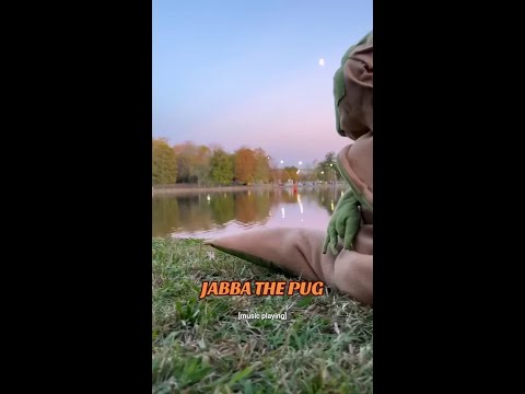 Image youtube