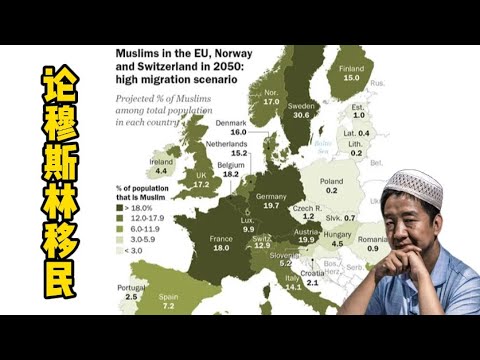 论穆斯林移民问题 #刘仲敬